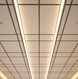 Acoustic & T-Bar Ceilings